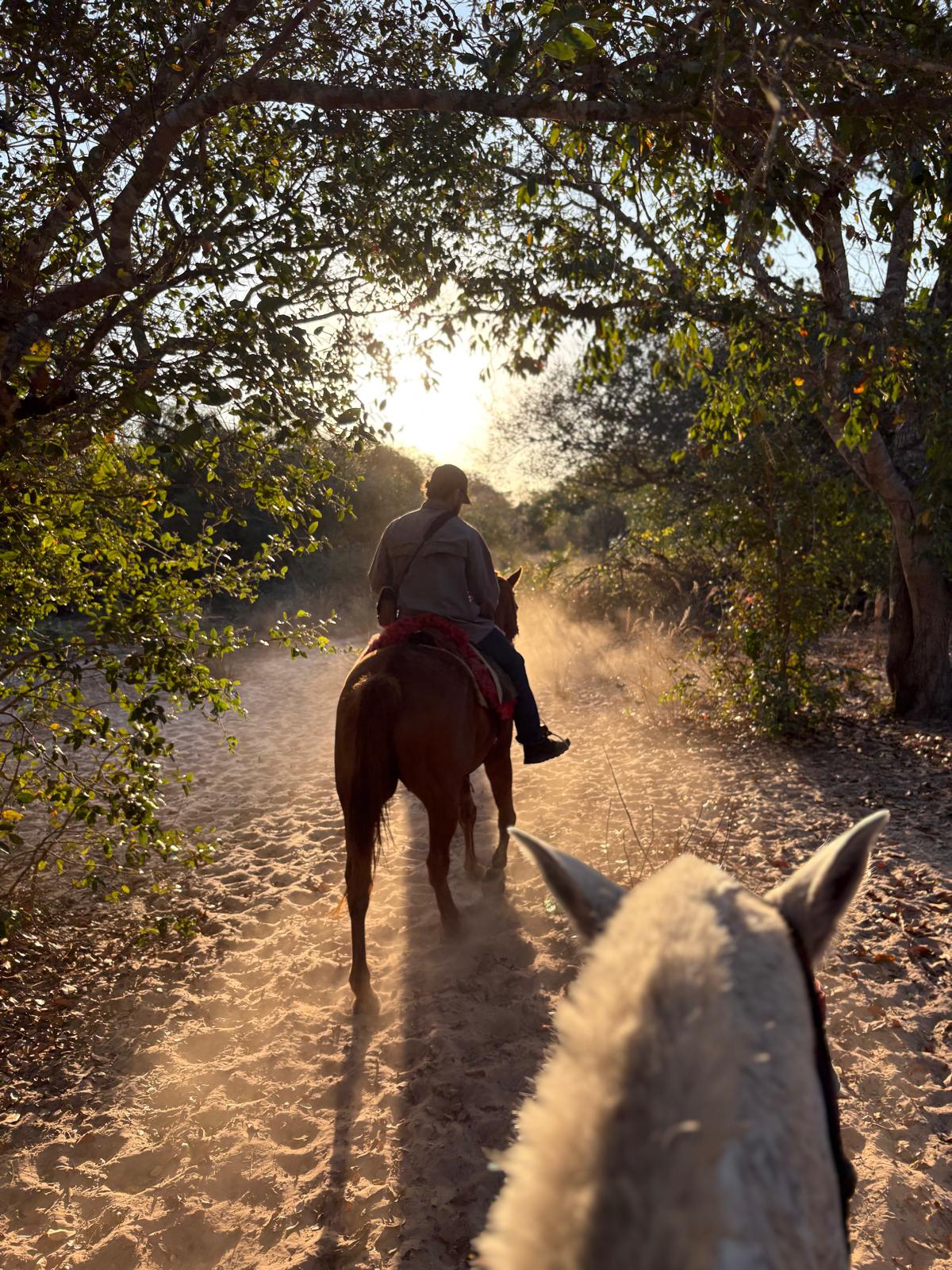 Horseback riding on a sandy Pantanal trail at sunset